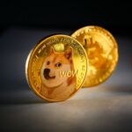 Dogecoin, Shiba Inu volume slumps as Solciety token sale thrives