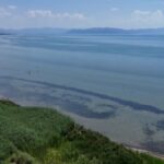 Balkan nations create committee to protect shared endangered lake