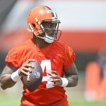 Deshaun Watson Browns pic