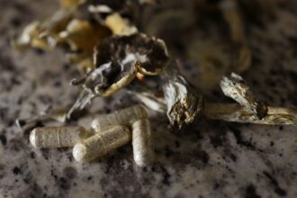 Colorado solidifies regulations for psychedelic mushroom growers, manufacturers and therapy centers