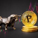 Investors eye Bitcoin Dogs as BTC retests $64k