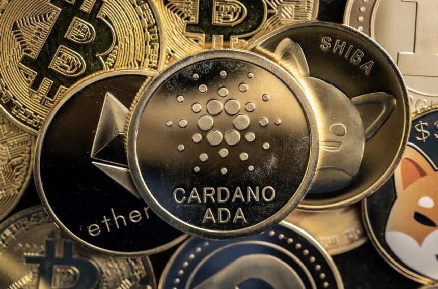 Cardano