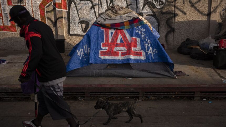 Homelessness in the US reaches record high as housing costs bite