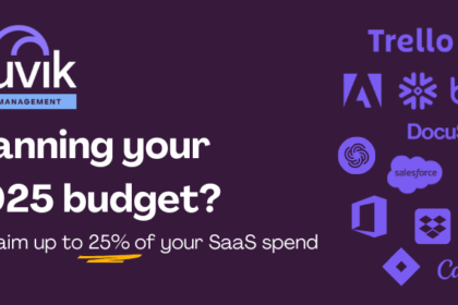 SaaS Budget Planning Guide for IT Professionals