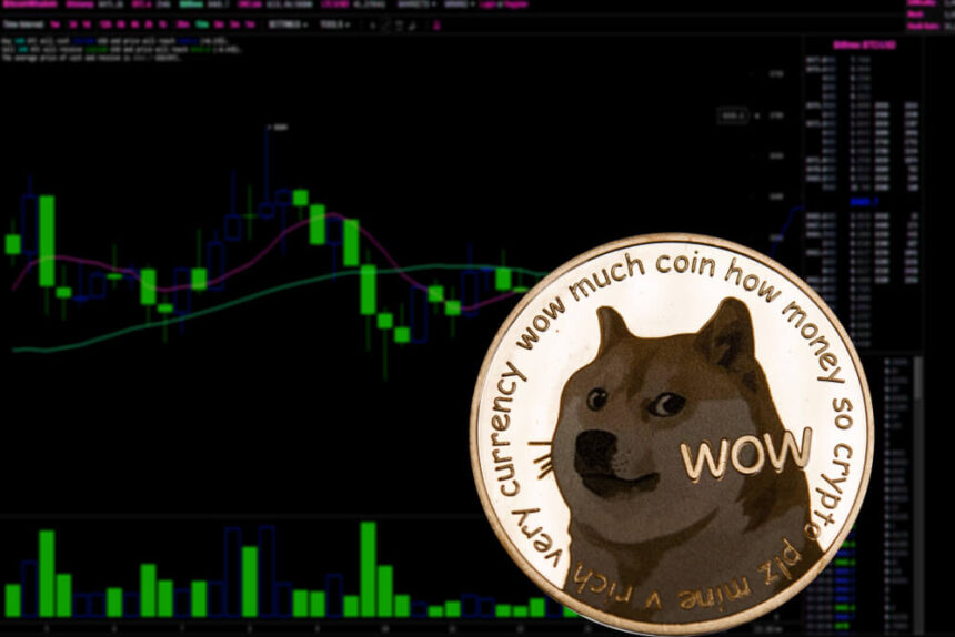 Dogecoin rallies