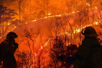 Devastating fire engulfs Palisades, Los Angeles